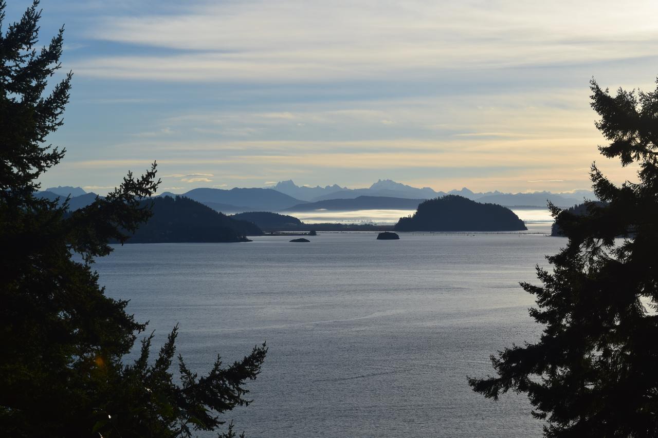 The Bluff On Whidbey Bed and Breakfast Oak Harbor Exteriör bild